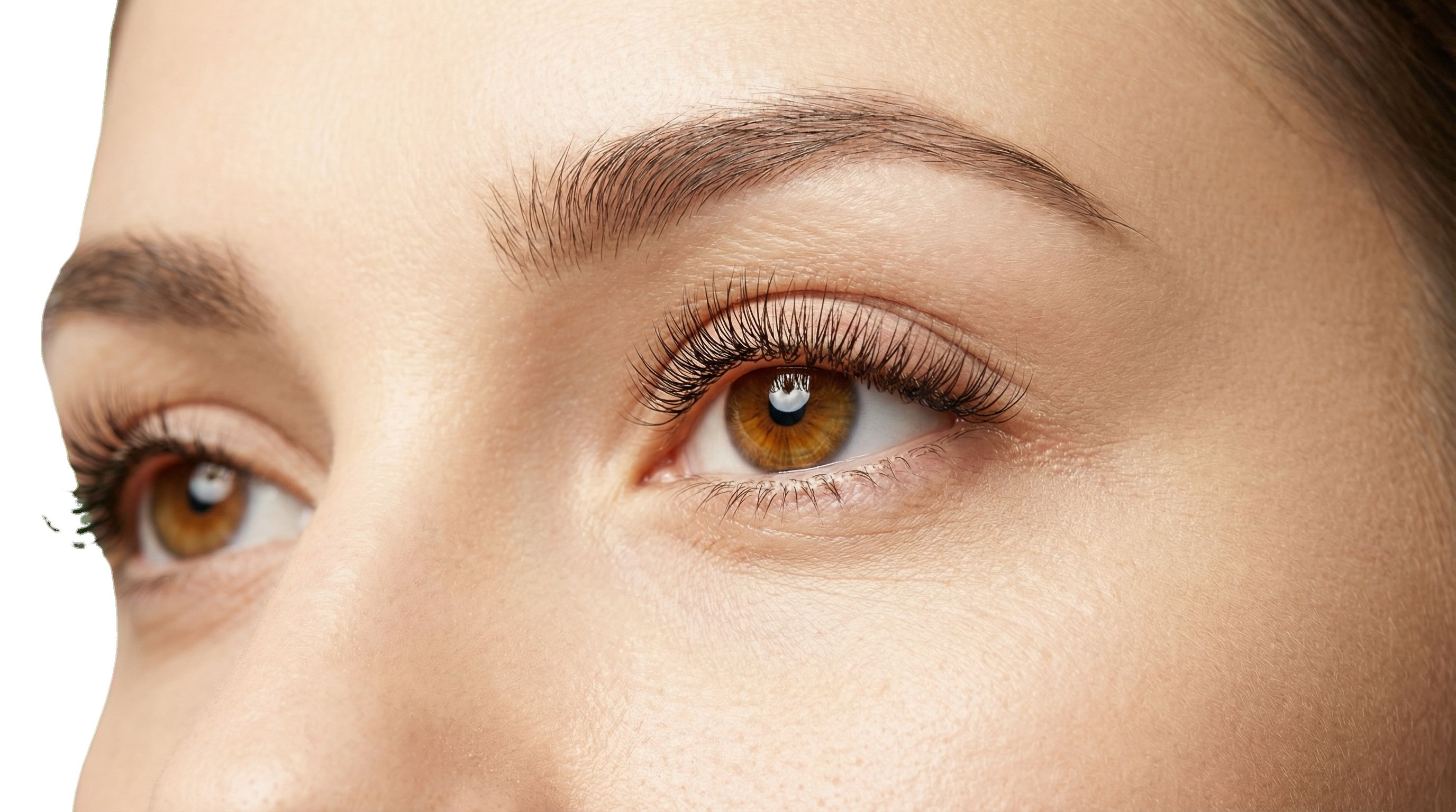 Close up of perfect eyelash extensions